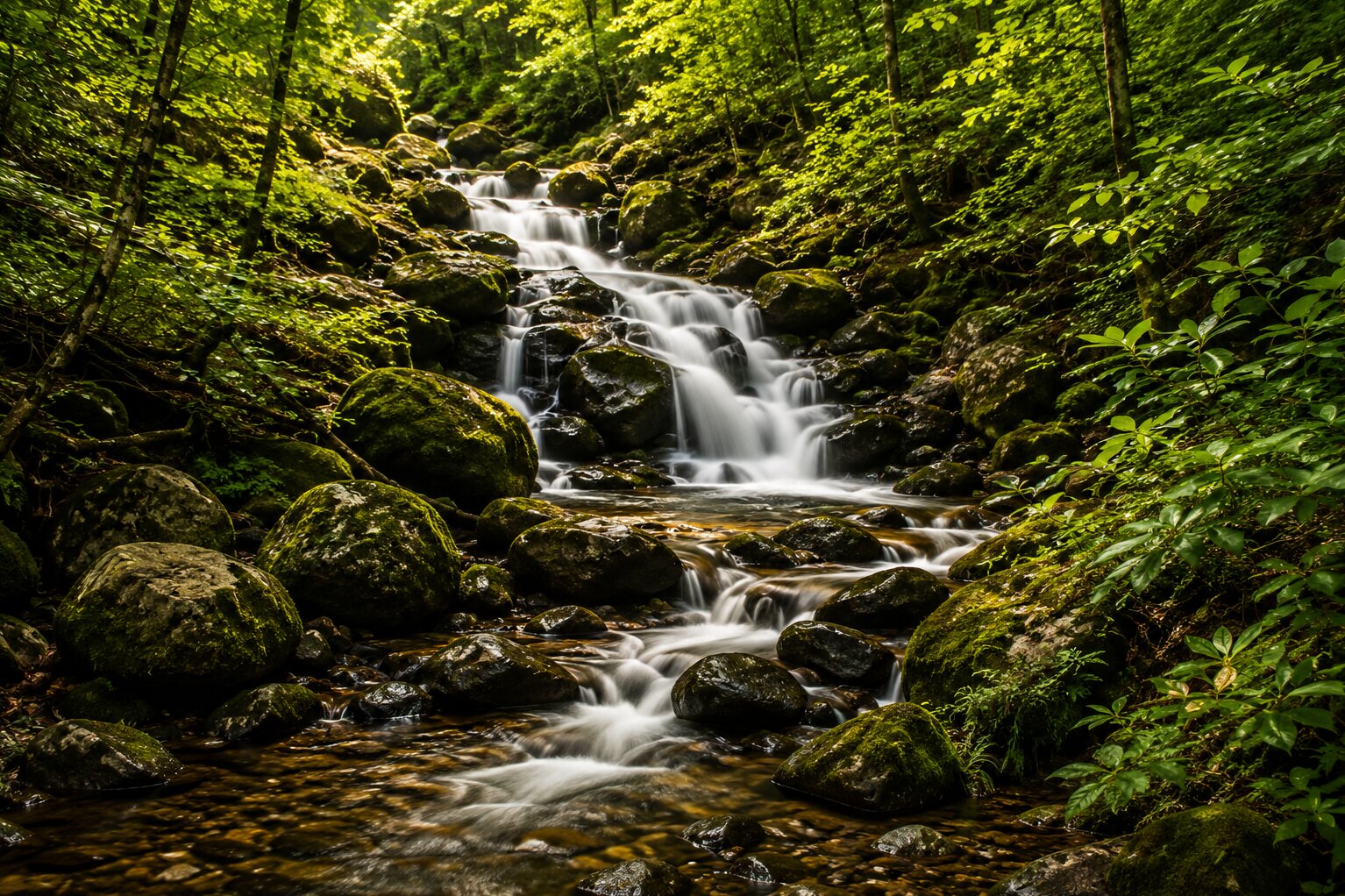 Waterfall cascading over mossy stones in deep forest